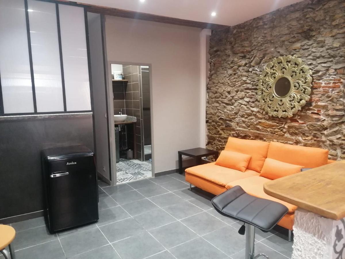Apartament Du Bonheur Et Du Bon Air A Banyuls ! Zewnętrze zdjęcie